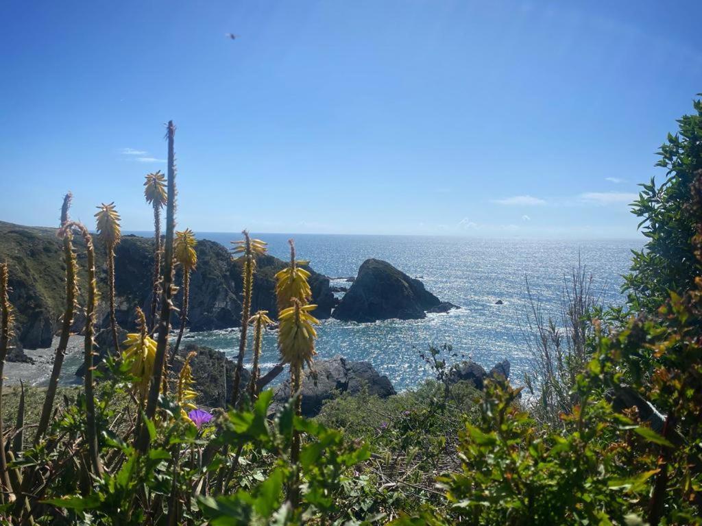 Casa Do Brejao Campo E Praia Odemira Bagian luar foto