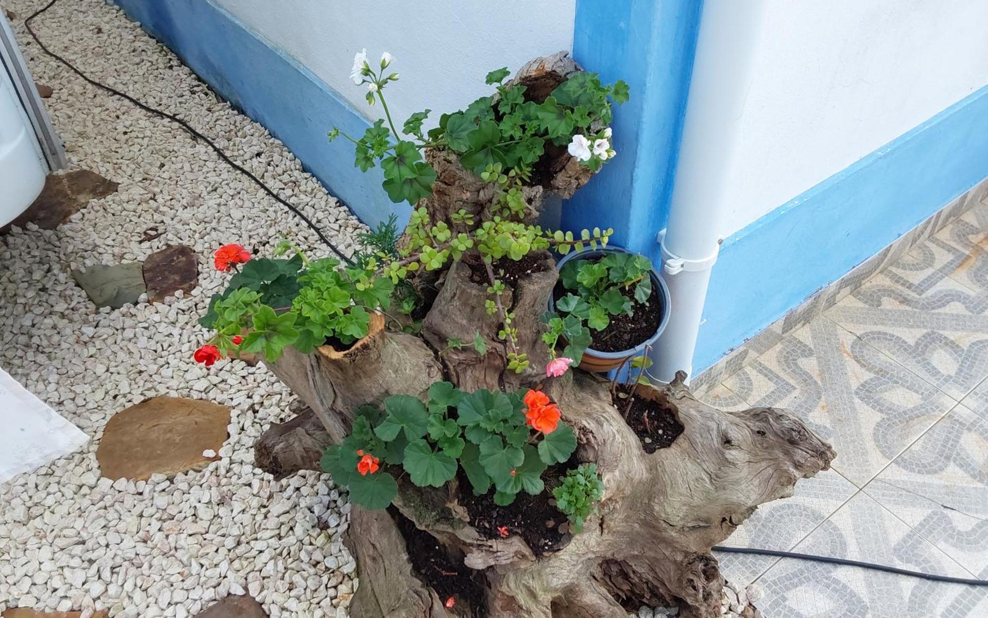 Casa Do Brejao Campo E Praia Odemira Bagian luar foto