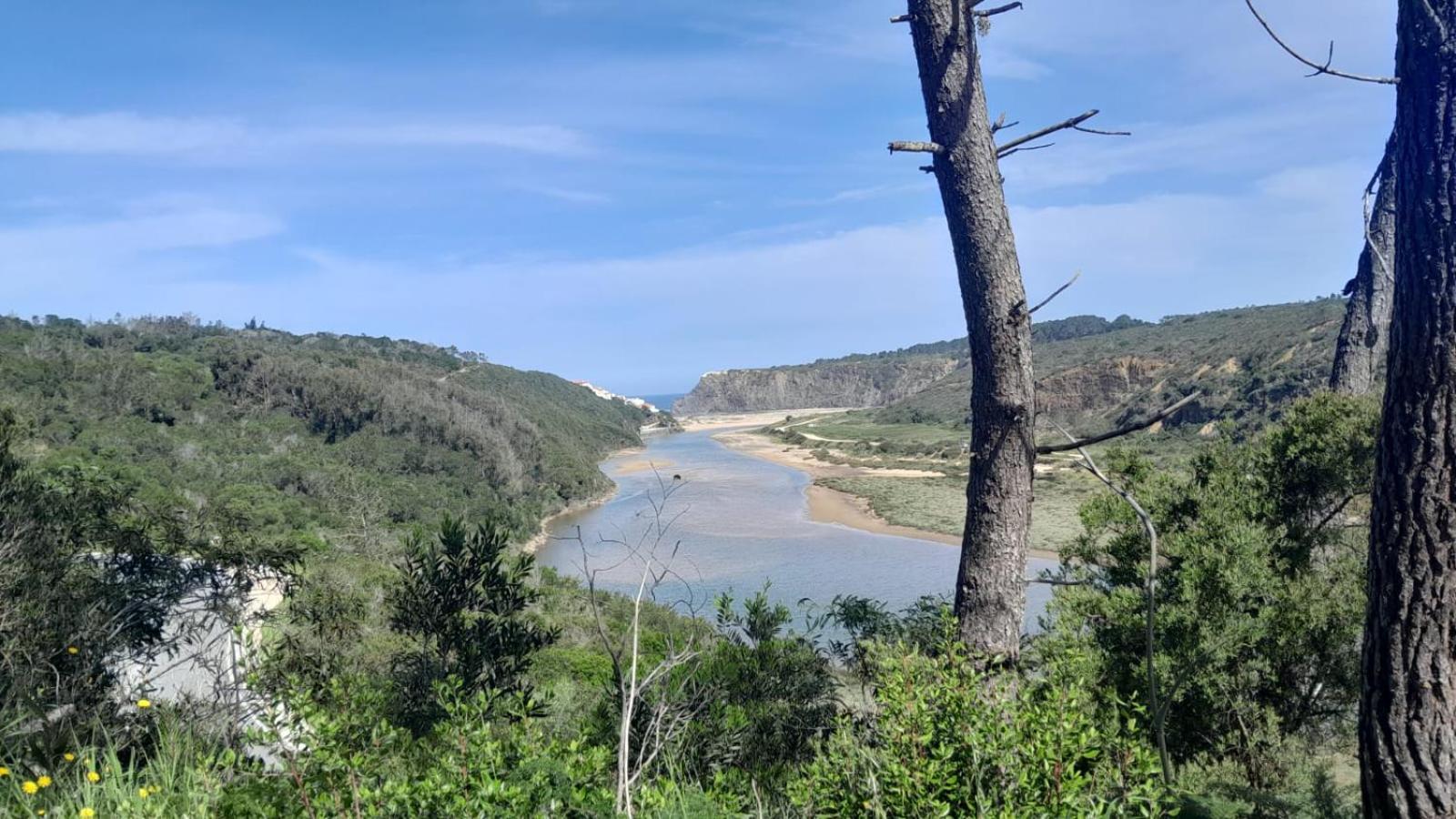 Casa Do Brejao Campo E Praia Odemira Bagian luar foto